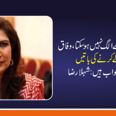 انہوں نے مزید کہا کہ گل پلازہ سانحہ ایک سنجیدہ واقعہ ہے، جس کی غیر جانبدار تحقیقات ہونی چاہئیں تاکہ مستقبل میں ایسے واقعات کی روک تھام ممکن بنائی جا سکے۔ تاہم، اس واقعے کو بنیاد بنا کر کراچی کی حیثیت پر سوال اٹھانا یا صوبے اور وفاق کے درمیان محاذ آرائی پیدا کرنا کسی صورت قابل قبول نہیں۔ شہلا رضا کے مطابق پیپلز پارٹی نے ہمیشہ کراچی سمیت سندھ بھر میں ترقیاتی کام کیے ہیں اور شہر کے مسائل کا حل سیاسی نعروں سے نہیں بلکہ عملی اقدامات سے نکالا جا سکتا ہے۔