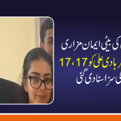 ڈسٹرکٹ اینڈ سیشن کورٹ نے متنازع ٹوئٹس کیس میں ایڈووکیٹ ایمان مزاری اور ان کے شوہر ہادی علی کو 17، 17 سال قید کی سزا سنادی۔