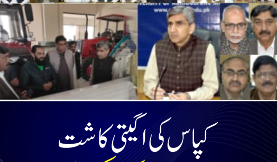 کپاس کی اگیتی کاشت کا ہدف 7 لاکھ ایکڑ مقرر